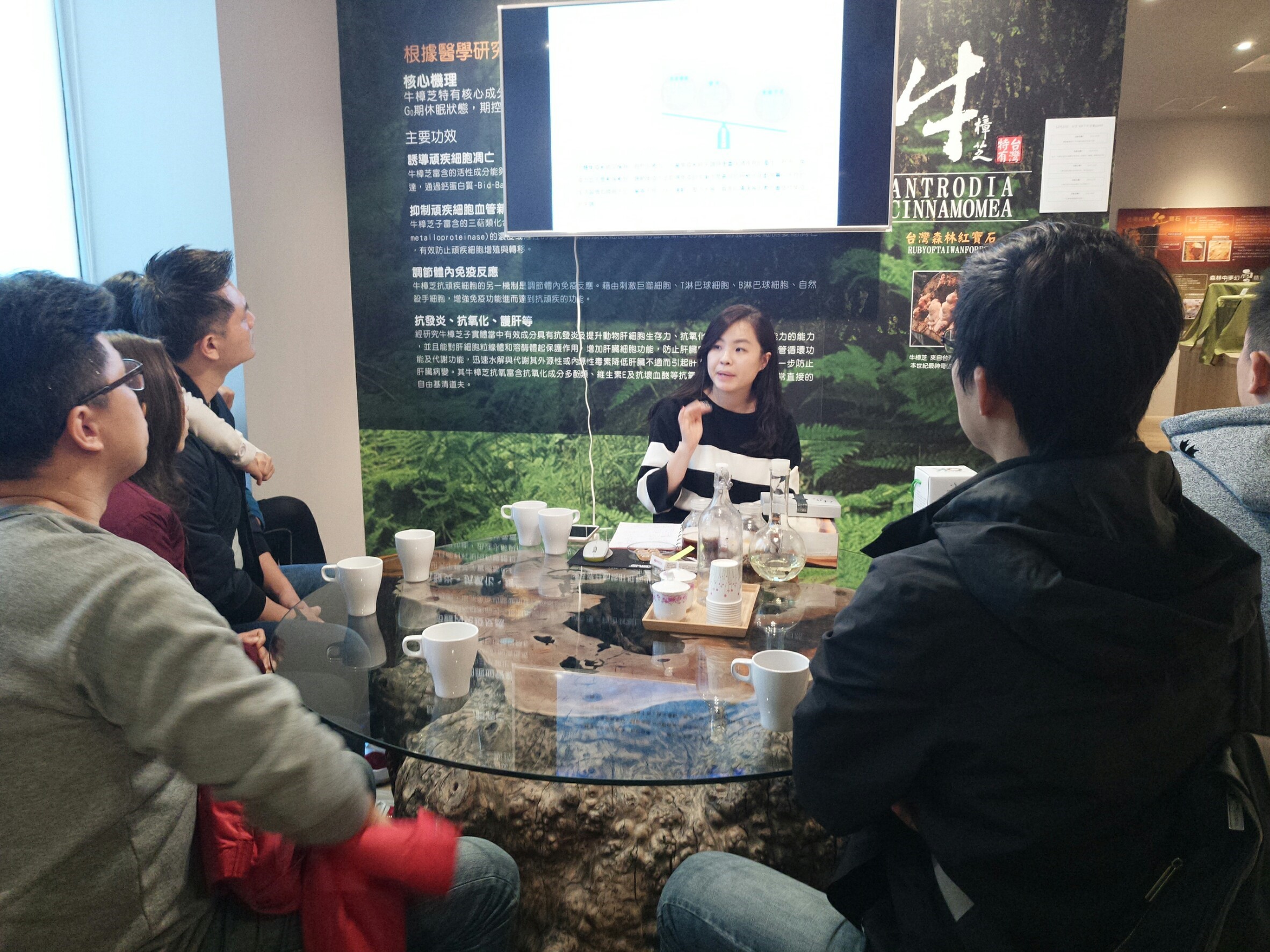 106年12月23日 台芝生技台中旗艦店舉辦「台芝會員回娘家＆牛樟芝沙拉下午參會」