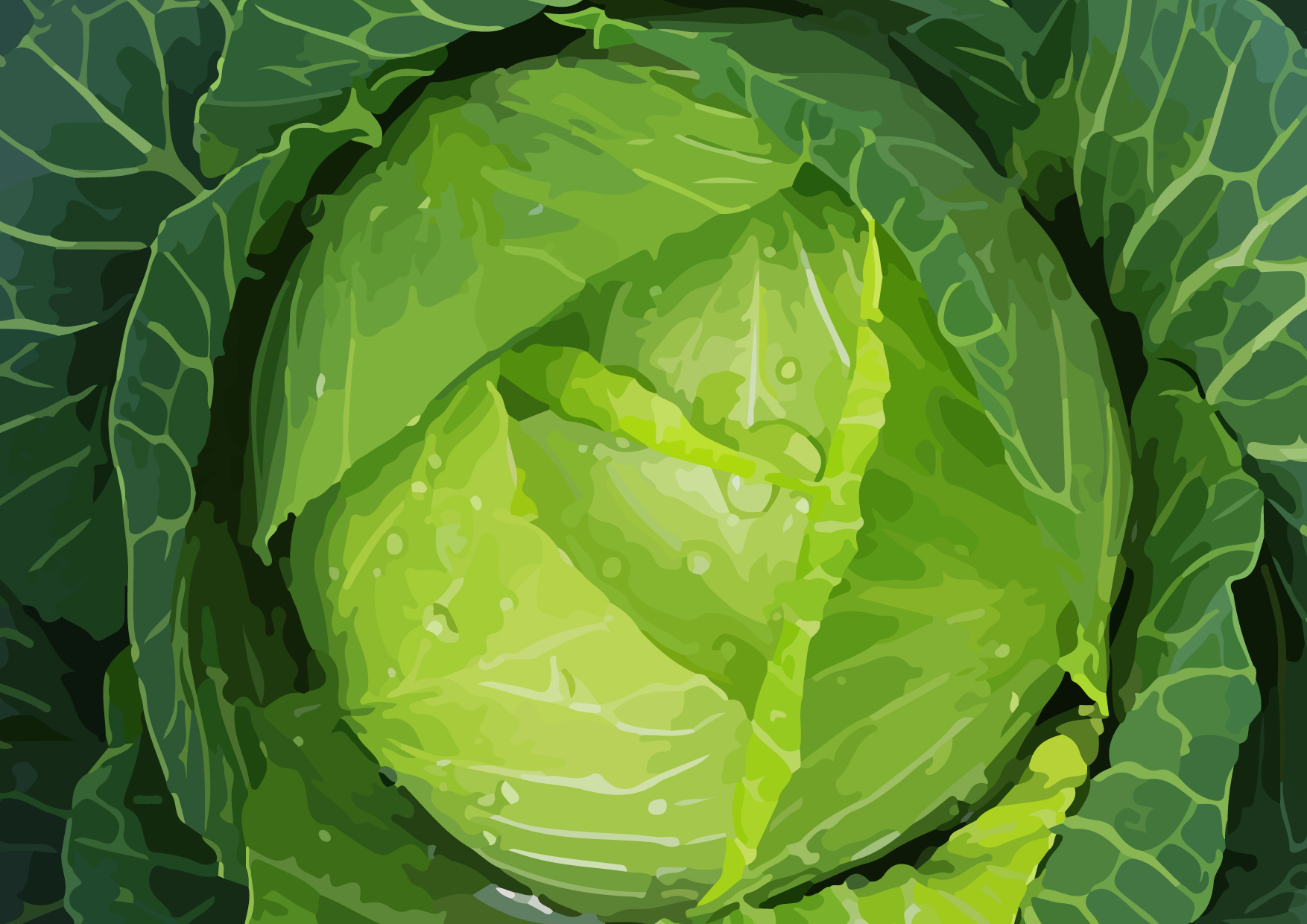 高麗菜、蘿蔔成份 降腸癌風險