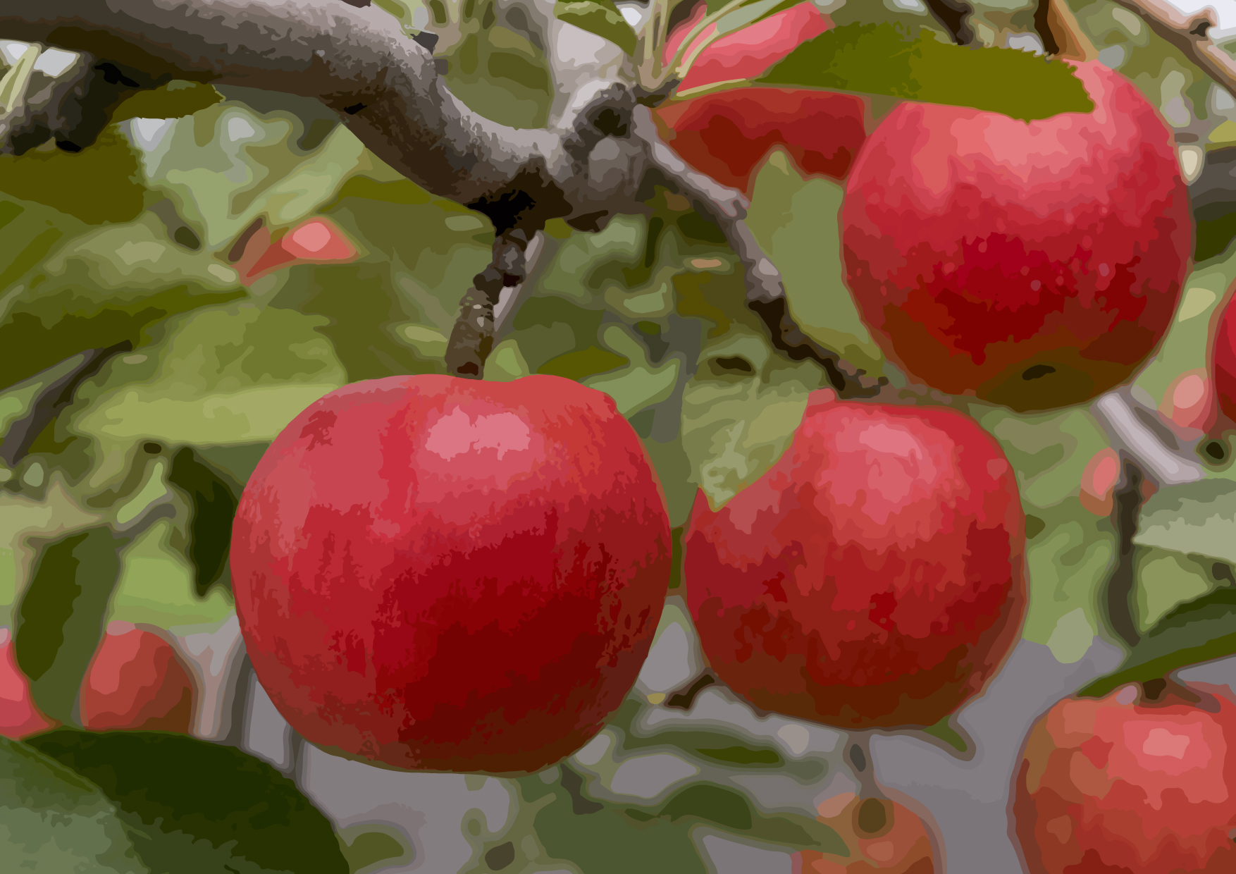 外食族秋天必吃這1顆 排毒養身全靠它