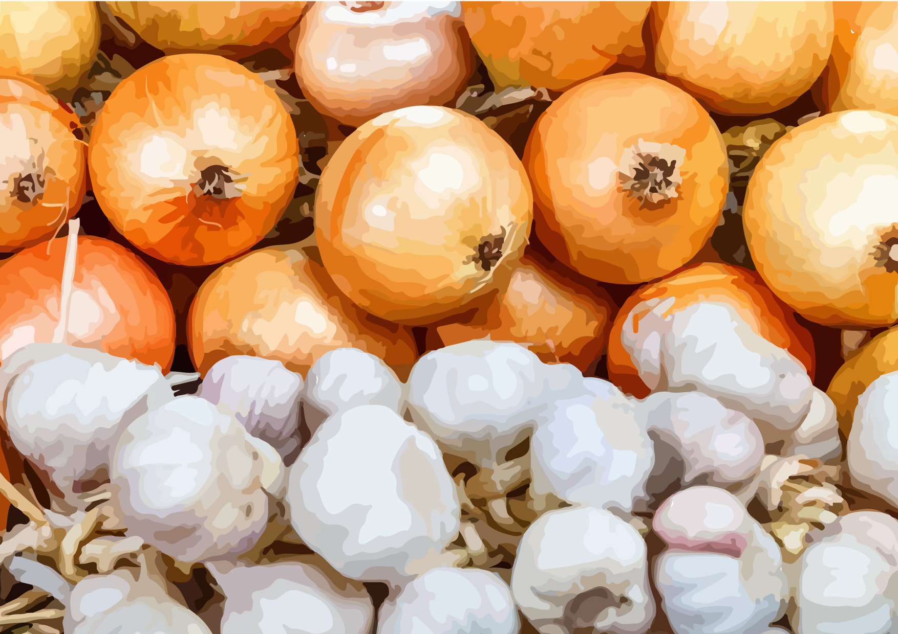 洋蔥、蒜頭2寶 抗氧化又能促代謝