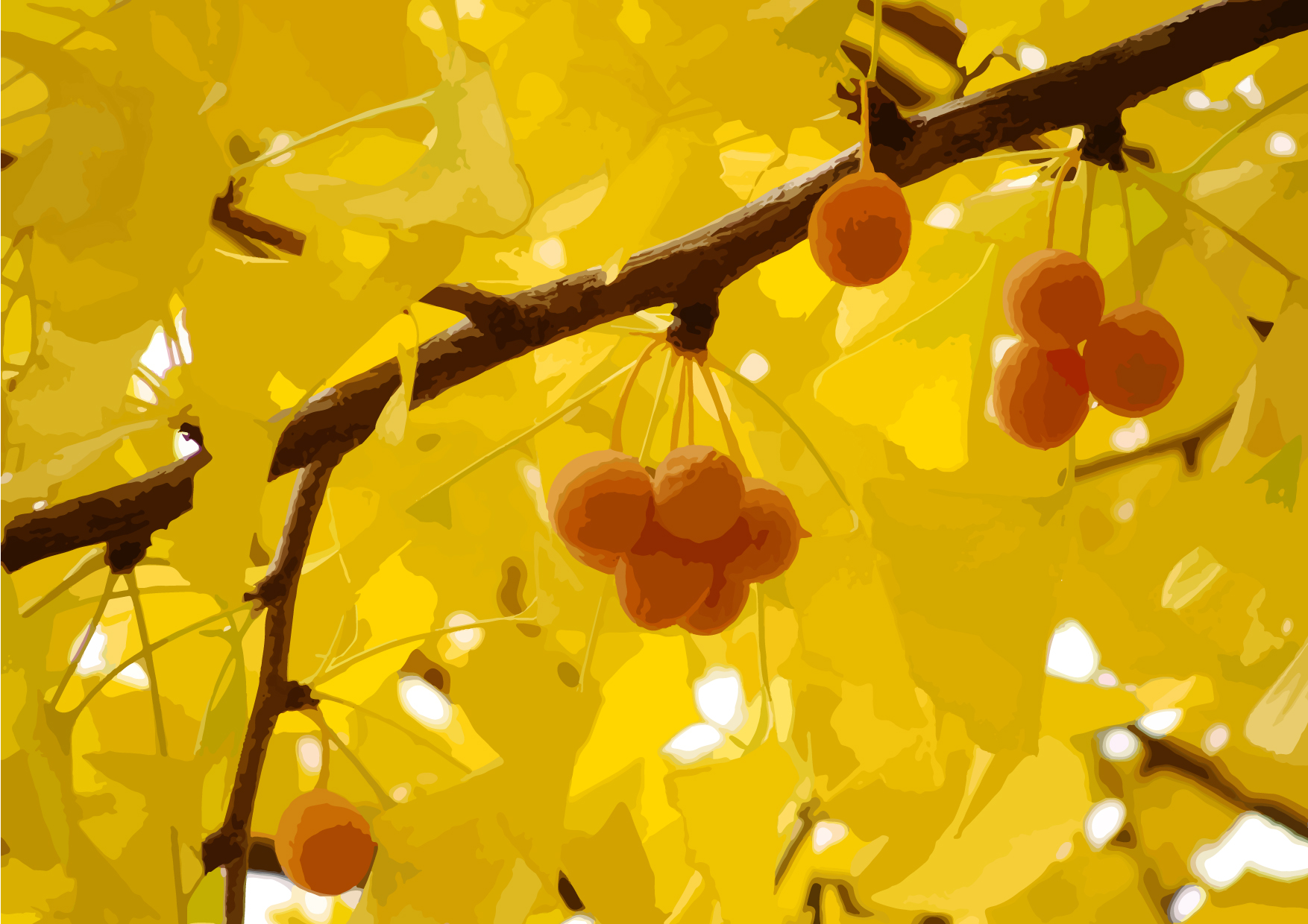 多吃銀杏防失智？ 國人高達5成認知錯誤