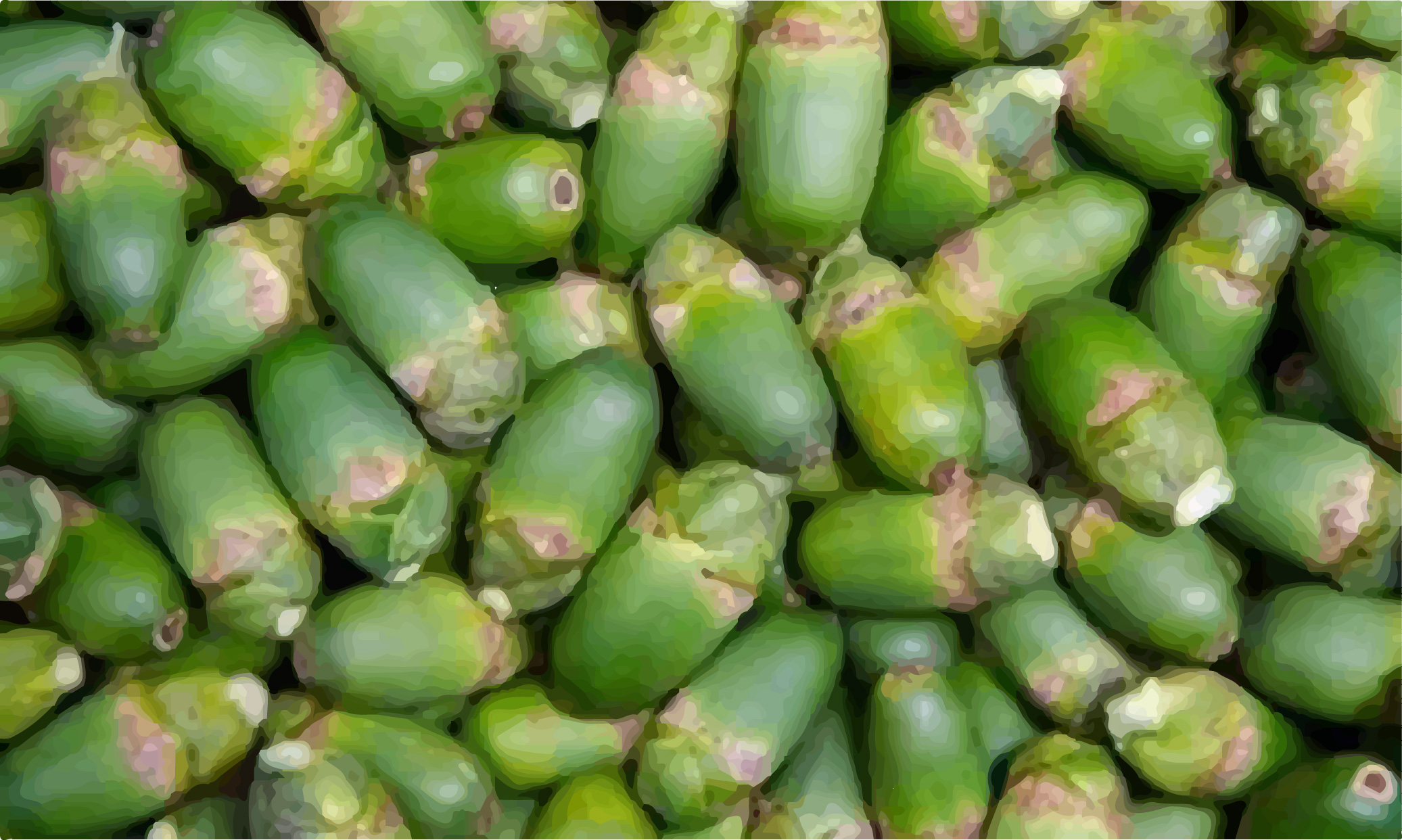 牙痛吃檳榔止痛 就醫確診口腔癌末期