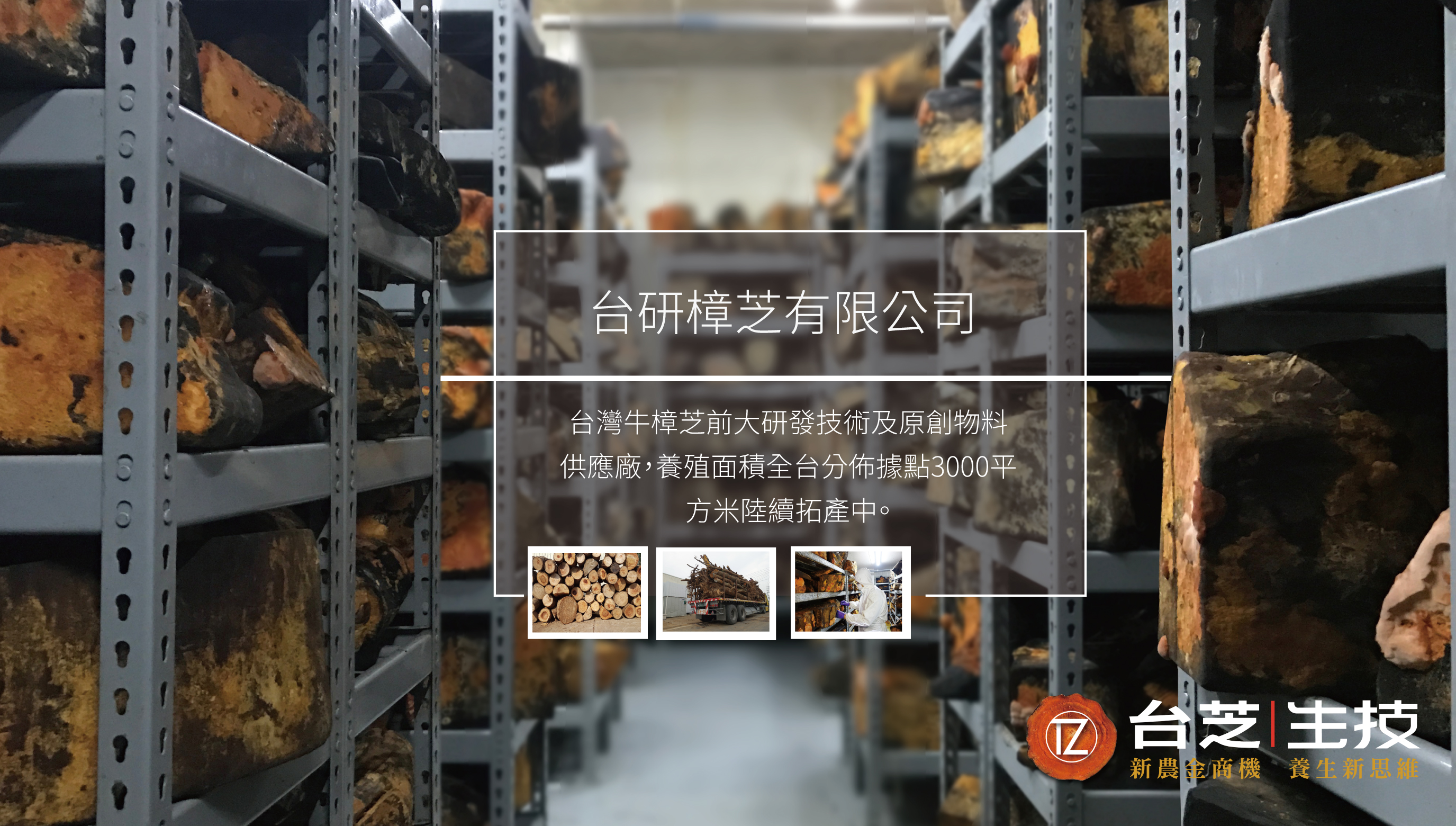 台研