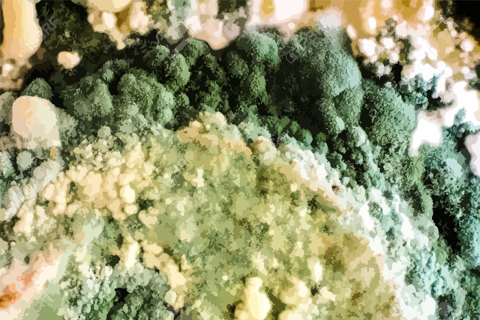 吃發霉食物 傷肝也傷身