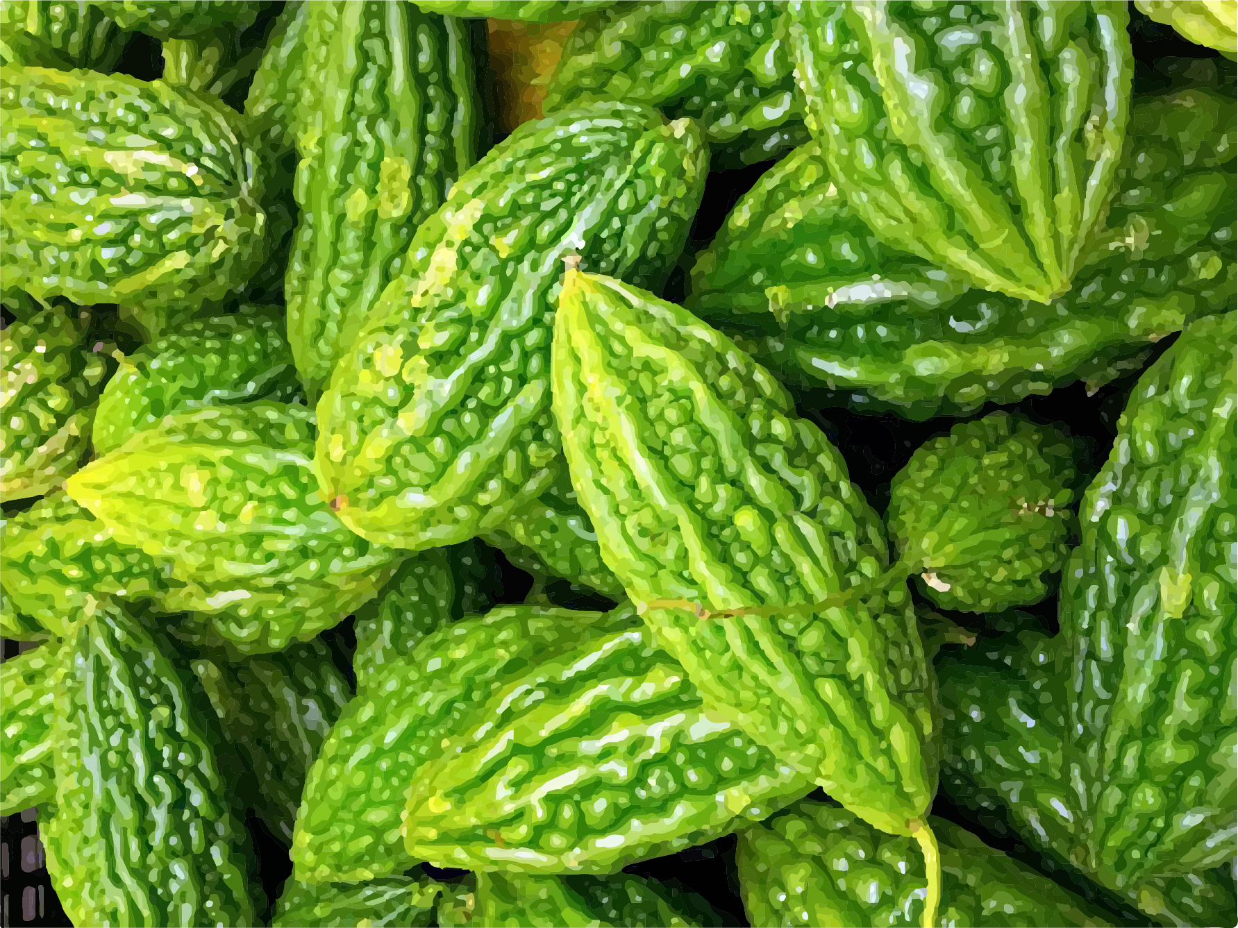 夏日吃苦，勝似進補！