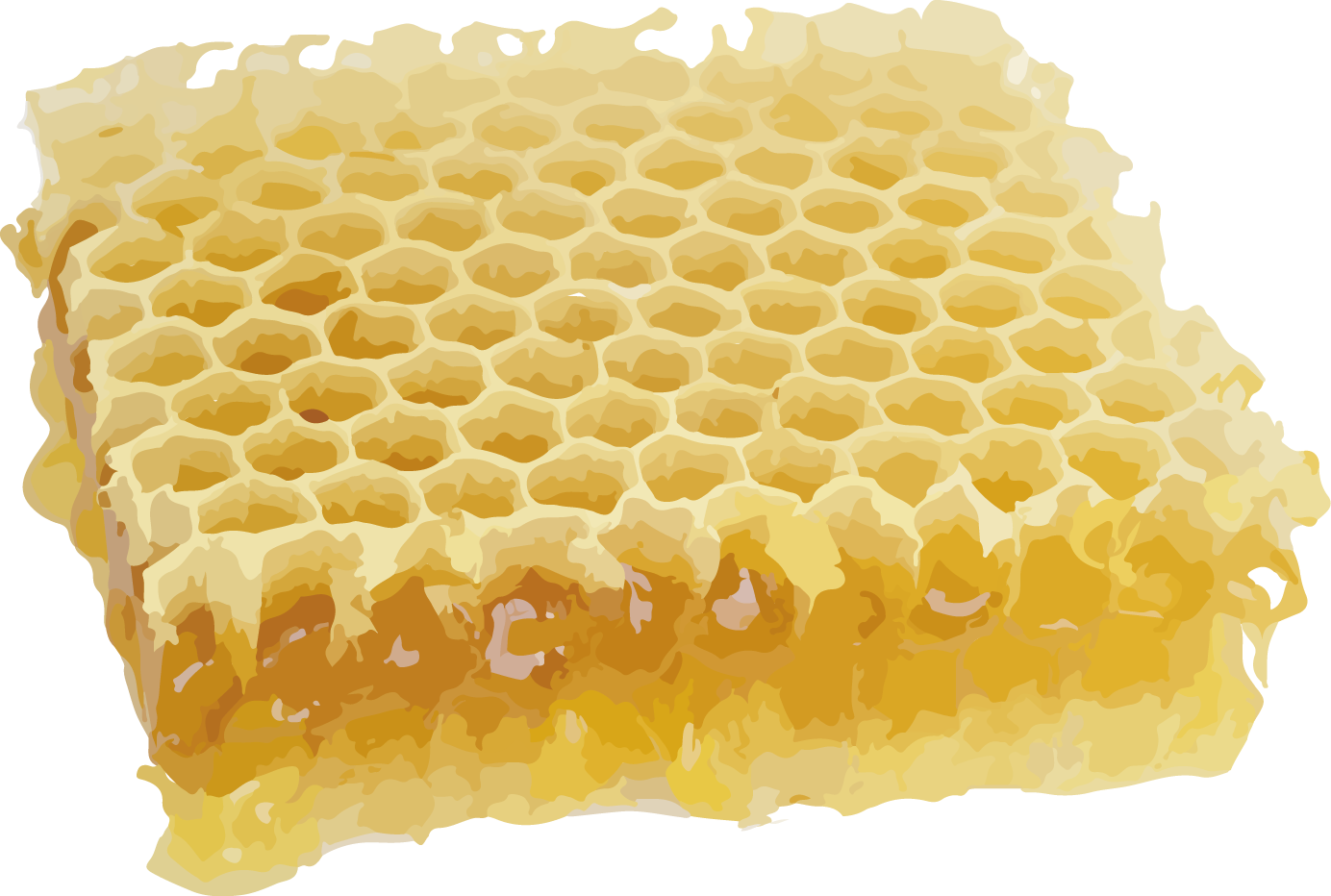 蜜蠟 (Beeswax)