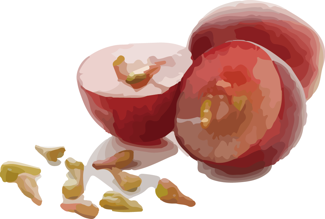 葡萄籽油 (Grape Seed Oil)