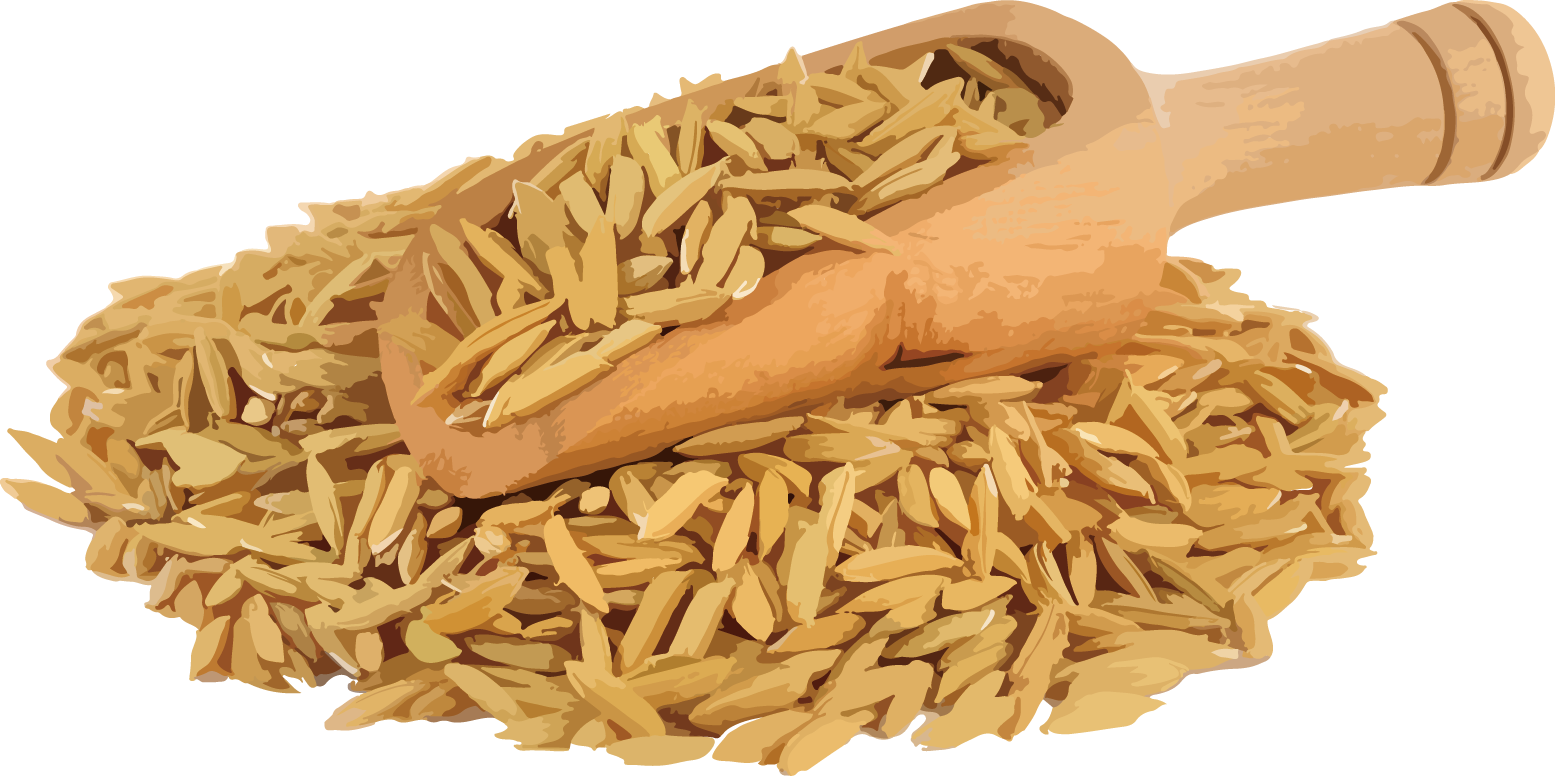 米糠油 (Rice Bran Oil)