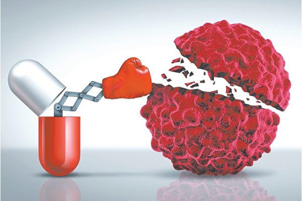 2015/11/05 牛樟芝抗癌效果 三萜類是關鍵