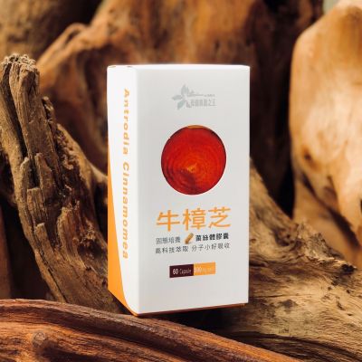 牛樟芝菌絲體膠囊